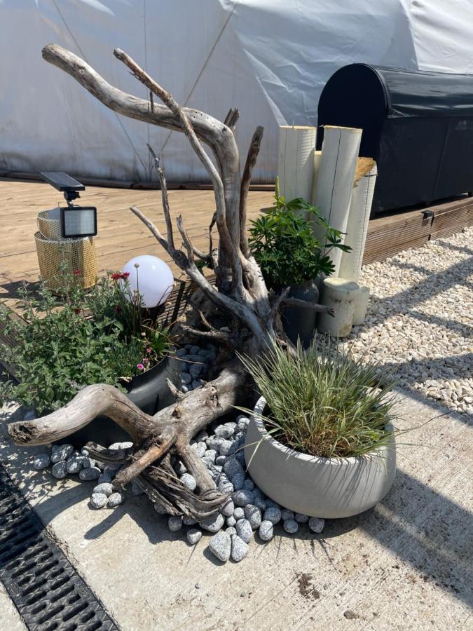 Maison Du Golf Costinesti Zewnętrze zdjęcie